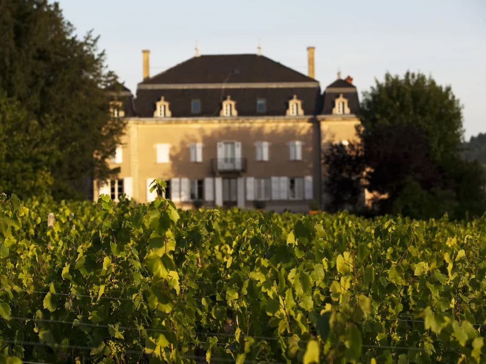 Château du Moulin-à-Vent in the Beaujolais cru appellation — the 16th-century estate with vaulted cellars and Clos de Londres old-vine Gamay vineyards in Romanèche-Thorins