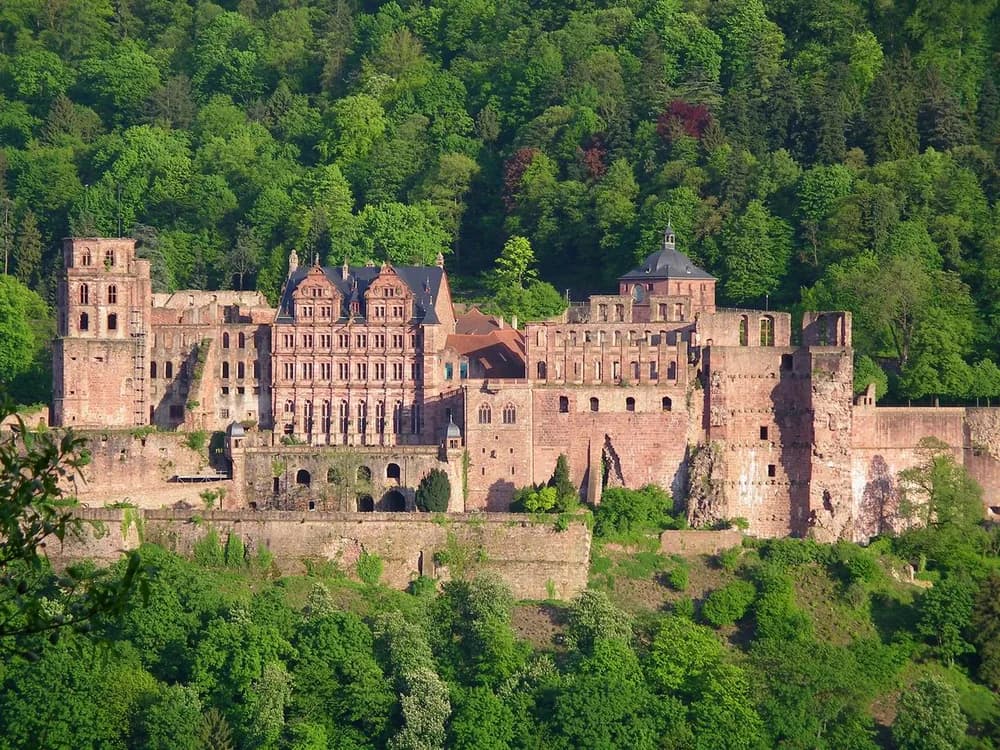 Heidelberg Castle ruins rising above the forested hillside above Heidelberg's baroque Old Town and Neckar river