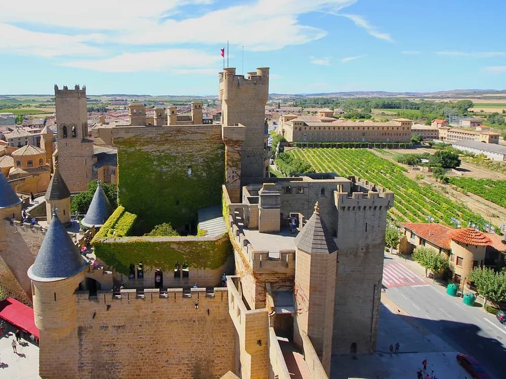 The Royal Palace of Olite's dense cluster of Gothic towers rising above the Navarrese plain