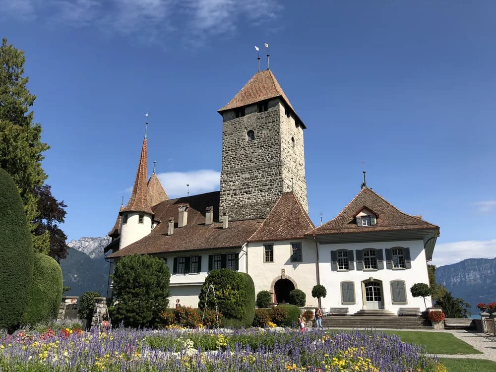 Spiez Castle (Schloss Spiez) on its vineyard peninsula on Lake Thun in the Bernese Oberland, Switzerland — the medieval keep, Romanesque church, and Baroque New Castle wing above the south-facing vineyard slopes