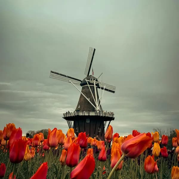 Netherlands castles thumbnail