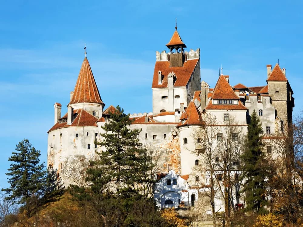 Bran Castle Gothic fortress rising from a forested cliff in Transylvania at dusk