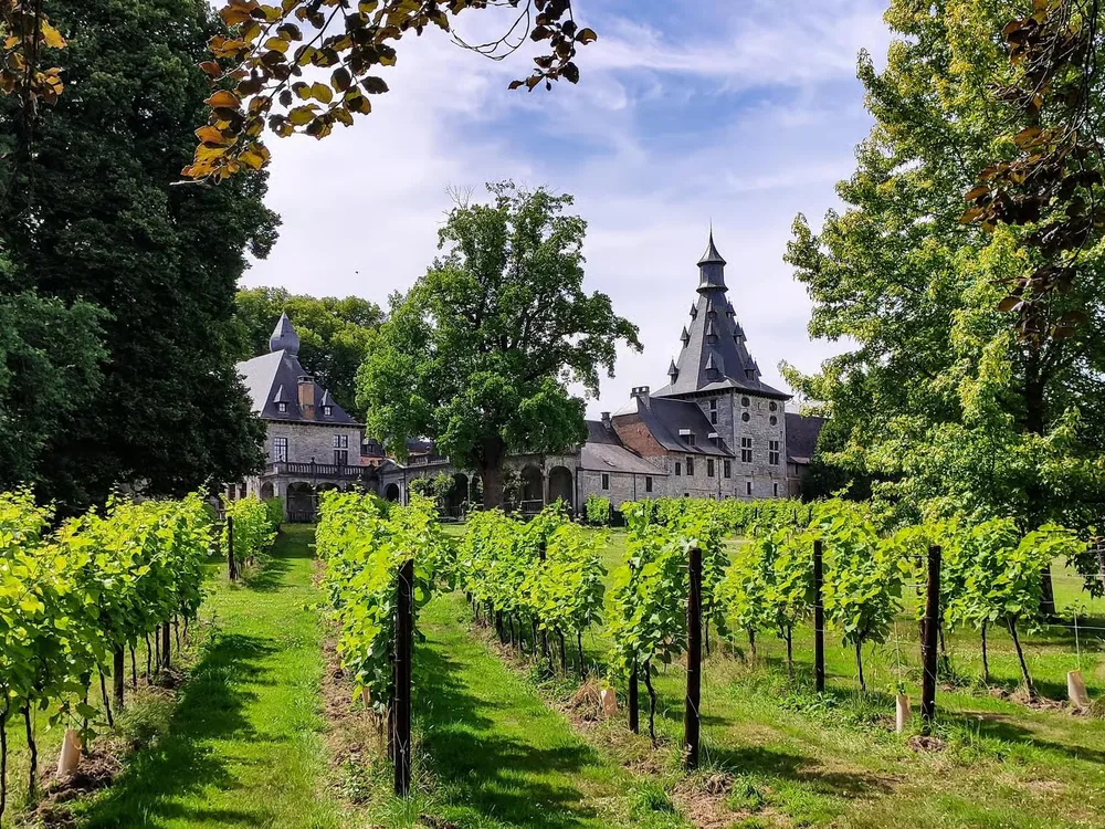 Château de Bioul in Wallonia, Belgium — the historic estate and working vineyard near Dinant, Namur Province, with centenary park and winery