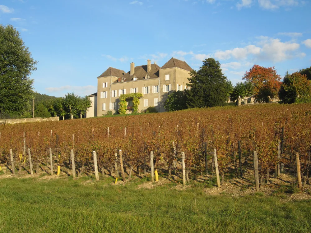 Château de la Greffière above La Roche-Vineuse in the Mâconnais — the Burgundy wine estate with vineyard terraces and views toward Mâcon in southern Saône-et-Loire