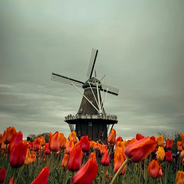Netherlands castles thumbnail